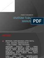 Anatomi Tubuh Manusia Copy