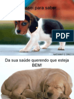 Cachorrada