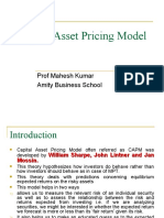 Capital Asset Pricing Model