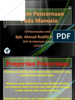 Sistem Pencernaan Pada Manusia