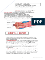 Skeletal Muscles