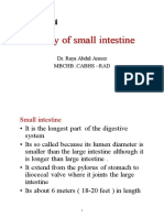 Anatomy of Small Intestine: Lecture-4