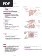 Liver Anatomy and Physiology: Function