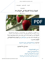 كيفية زراعة الفراولة في الجزائر 2021 بالتفصيل - صناع المال