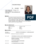 CURRICULUM VITAE 2019 (Milagros Calúa)