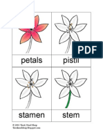 Flower 3-Part Nomenclature cards