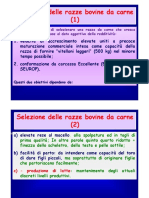 03.05.Miglioram.GeneticoBoviniCarne