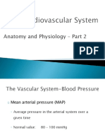 A&P - Circulatory System - Part 2