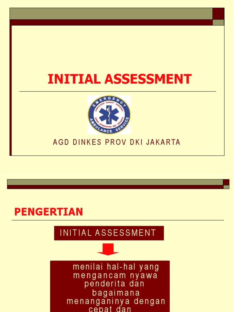 Panduan Initial Assessment Kegawatdaruratan | PDF