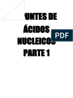 APUNTES DE ÁCIDOS NUCLEICOS