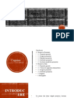 Referat Statutul Primarului in Romania Comparativ Cu Alt Stat Membru Ue