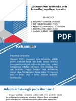 Adaptasi Sistem Reproduksi Pada Kehamilan, Persalinan Dan