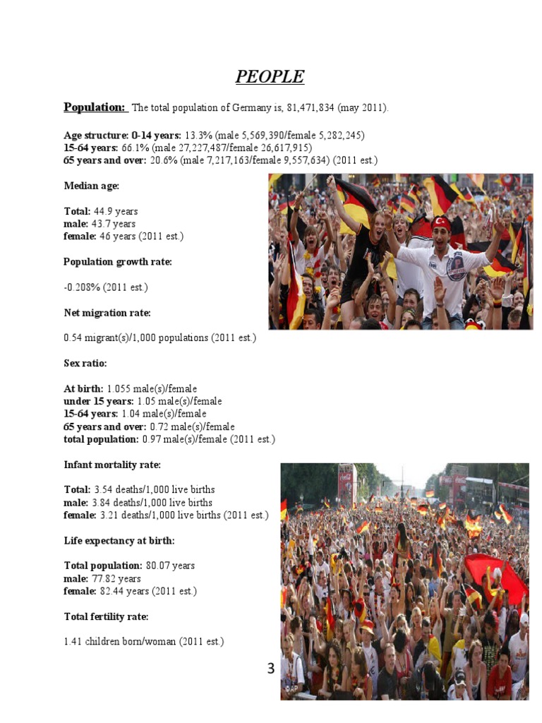Germany's Demographics and Education Insights | PDF | German Language ...