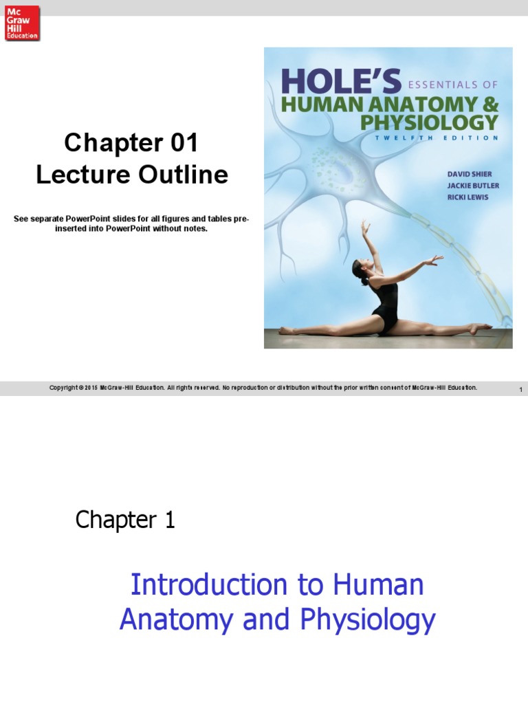Hole's Essentials of Human Anatomy & Physiology Twelfth Edition ...