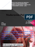 Maduración Pulmonar Diciemmre 2021