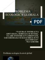 Problema Ecologica Globala