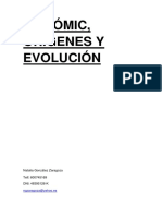 El Cómic, Orígenes y Evolución