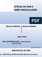DNA Bibliotecas e Marcadores Moleculares