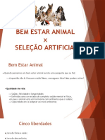 Seleção Artificial