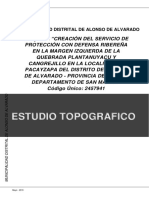 Estudio Topografico Pacayzapa