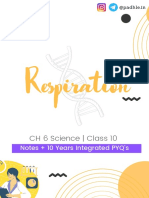 Padhle 10th - Respiration (Life Processes) Notes