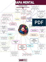 Mapa Mental - Medicina