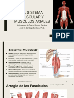 El Sistema Muscular y Músculos Axiales