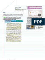 Notas 8 de enero Social