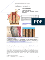 BIOQUÍMICA 2015 - 11 La Dentina Miooo