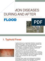 6 common flood diseases