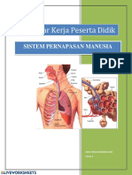 Worksheet Sistem Pernapasan