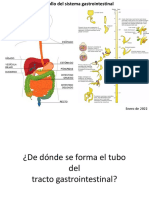 Desarrollo Del Sistema Digestivo - Clase - 1 - 2210