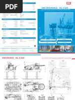 Gms Endurance - Oil & Gas: Main Particulars Tank Capacities