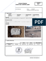 Anexo 5 FICHA TOPOGRAFICA - Pistas