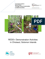 Climate Protection through Forest Conservation in Pacific Islands
