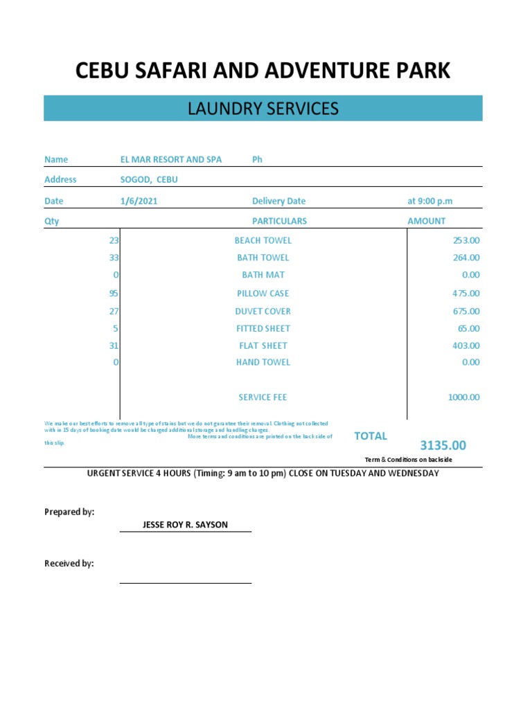 Laundry Bill Format in Excel PDF Domestic Implements Bathing