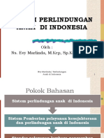 Sistem Perlindungan Anak Di Indonesia