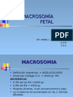 Macro So Mia Fetal