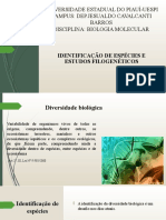 Universidade Estadual Do Piauí-Uespi Campus: Dep - Jesualdo Cavalcanti Barros Disciplina: Biologia Molecular