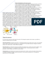 Tipuri de Neuroni Si Celule Gliale