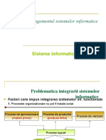 Managementul Sistemelor Informatice