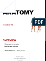 Anatomy Lect1 Mrt2021