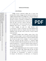 TINJAUAN PUSTAKA Manggis Dan Kerabat Dekatnya PDF