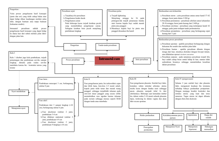 Proses Intranatal untuk Janin Berat Rendah | PDF