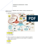 Prueba Diagnóstica de Comunicación 4° Grado