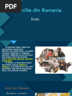 Etniile din Romania