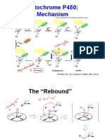 Cytochrome P450: Mechanism: Petsko Wt. Al., Science, 2000, 287,1615