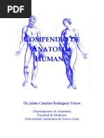 Download 21779395 Compendio de Anatomia Humana by Gigi Balasa SN55513505 doc pdf