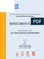 Certificado Induccion A Gerentes Publicos