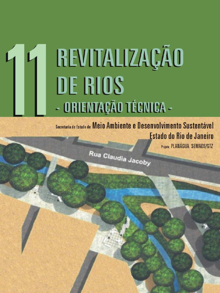 Orientações para Revitalização de Rios | PDF | Enchente | Rio